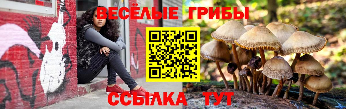 Кимры  что такое   Вход с VPN  Галлюциногенные грибы ЛСД 