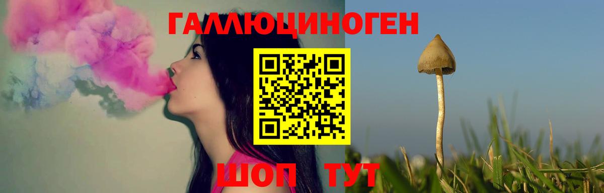 Галлюциногенные грибы GOLDEN TEACHER Кимры