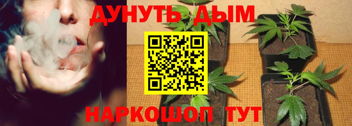 Бошки Шишки план  Вход с VPN  Кимры  Шишки марихуана Amnesia 